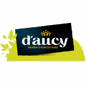 Daucy